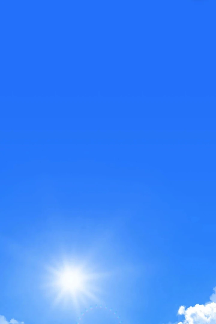 Página 003.webp