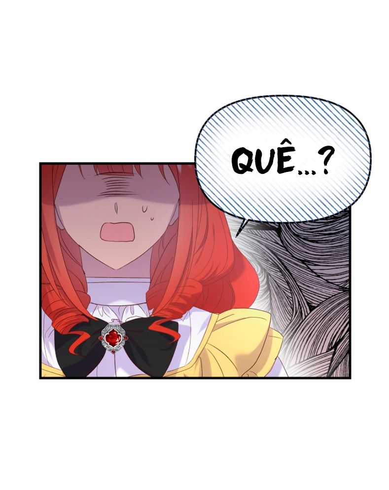 Página 51.jpg